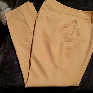 CHAUS New York Pants